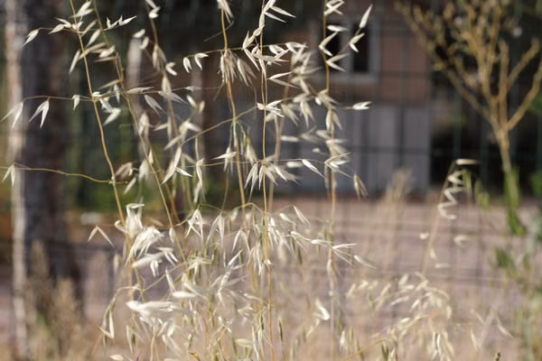 Outdoor space